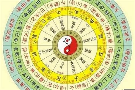 甲戌年五行|生辰八字算命、五行喜用神查询（免费测算）